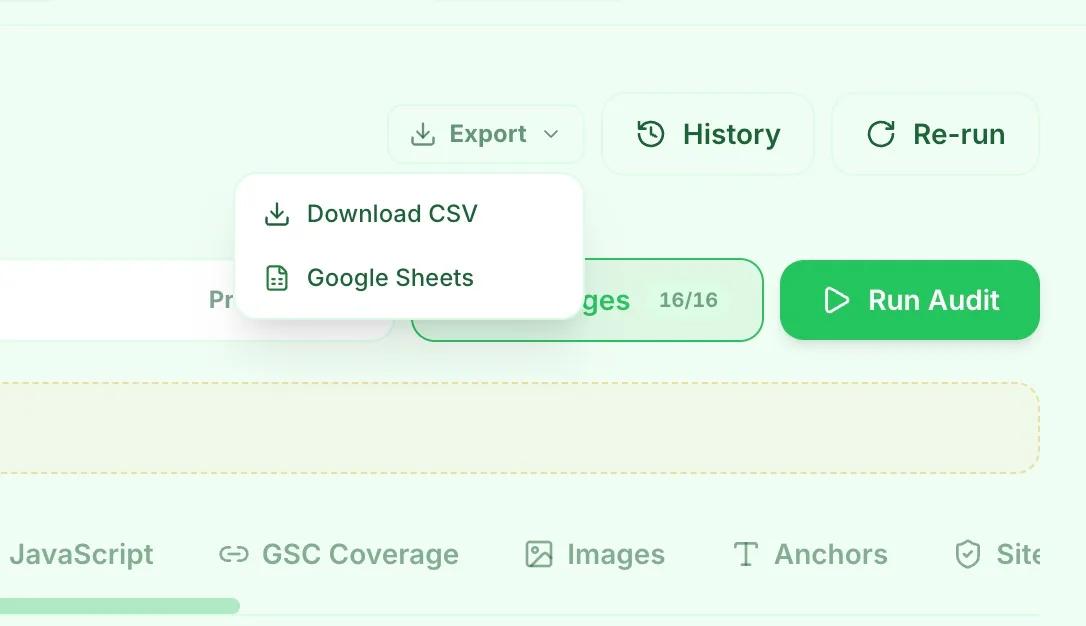 The export menu open on an audit, offering Download CSV or Google Sheets, next to the History and Re-run buttons.