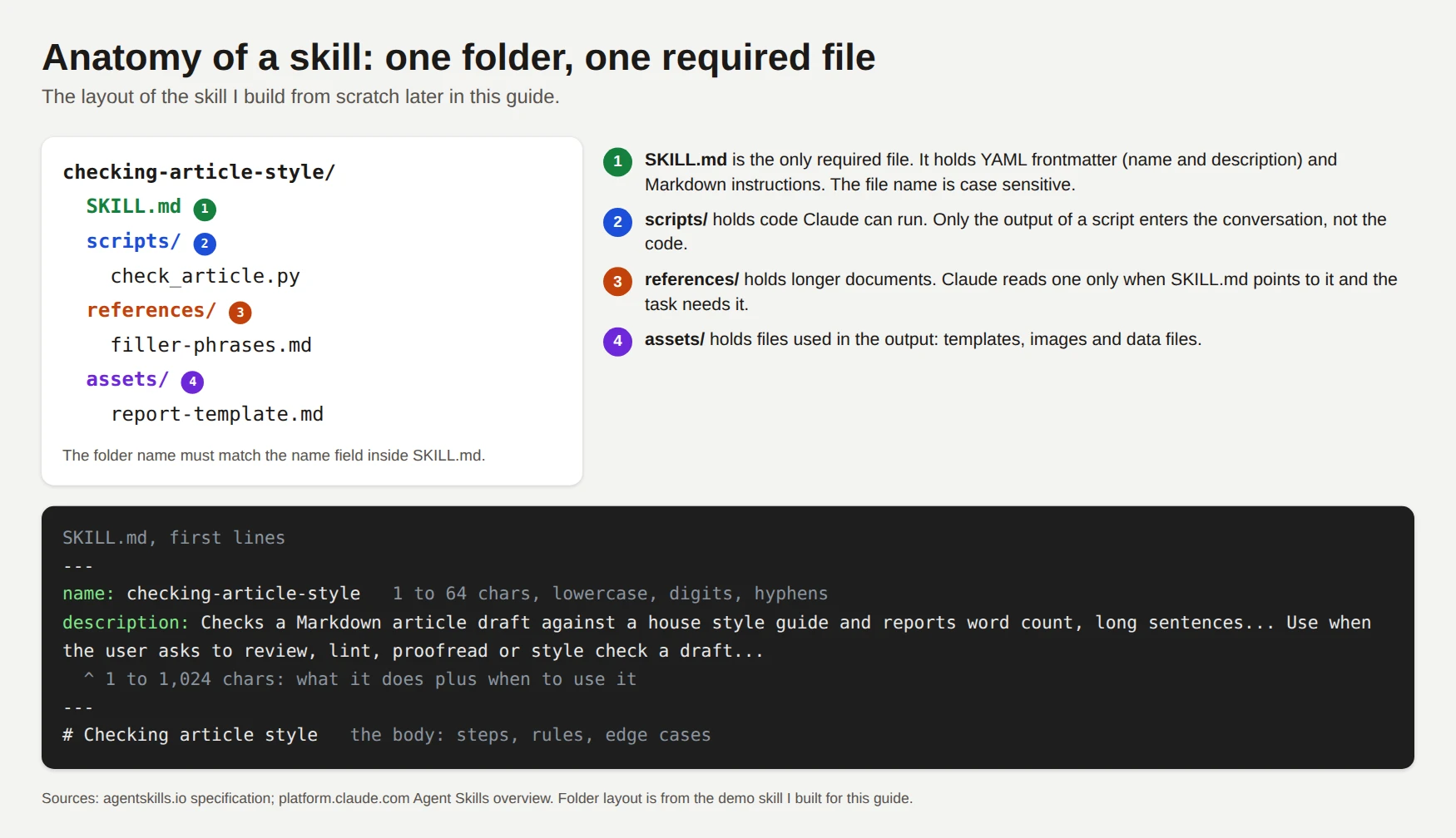 skills_info_anatomy.png